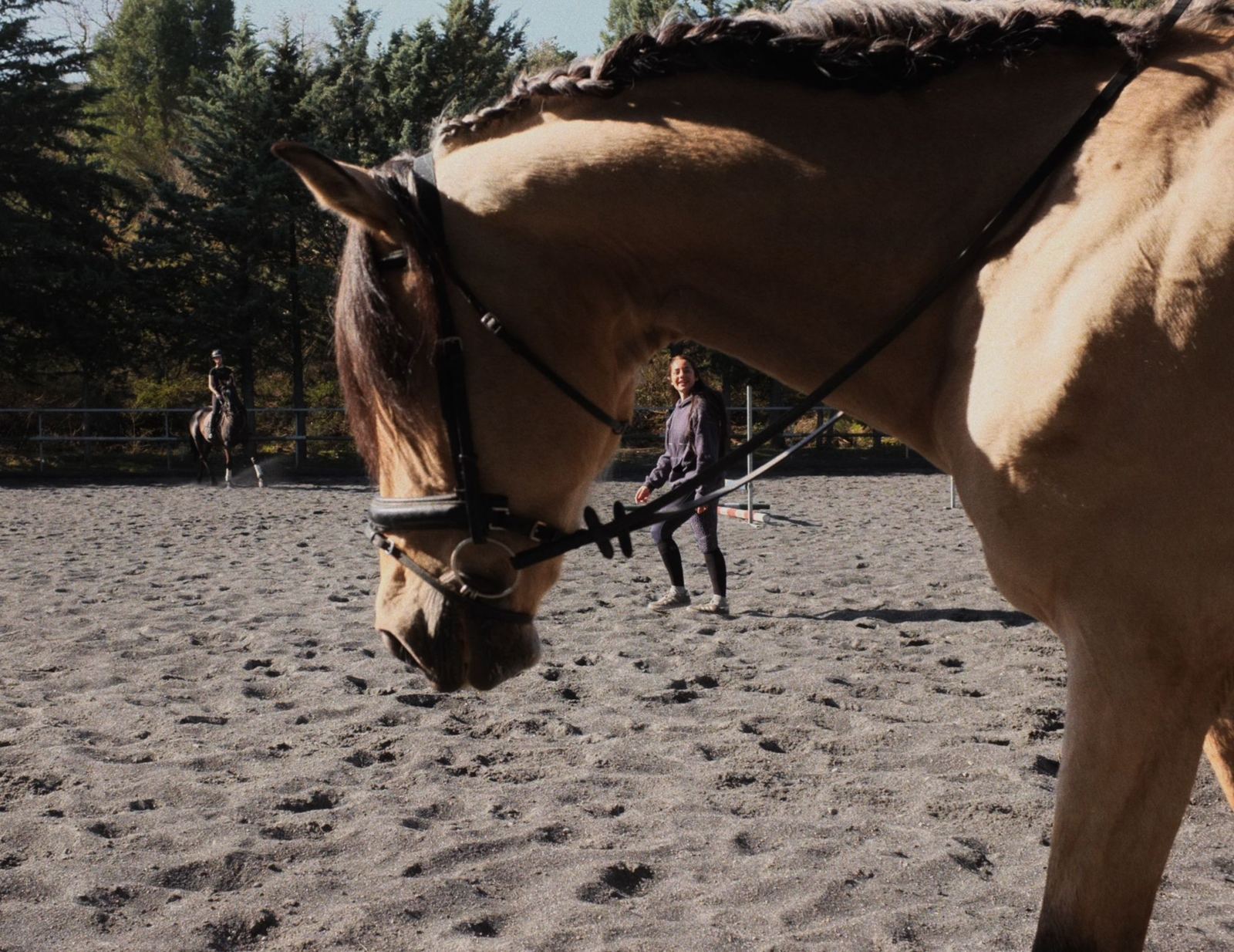 Conexión entre Adriana y el caballo